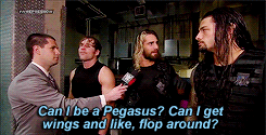 youareajabroni-deactivated20170:  The Shield and their thoughts on ponies, horses,