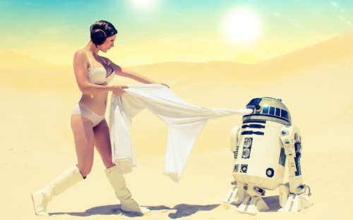 audiofeeline:  Princesse Leia et R2D2 (Cosplay adult photos