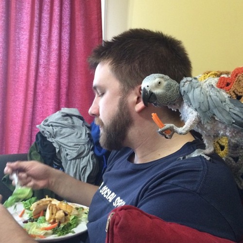 oneautumnday:Team eating!