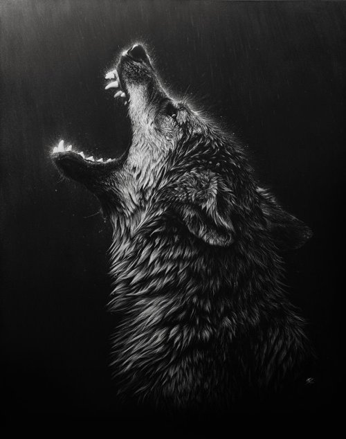 victoriousvocabulary:ULULATE[verb]1. to howl, as a dog or a wolf; hoot, as an owl.2. to utter howlin