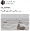 dankmemeuniversity: