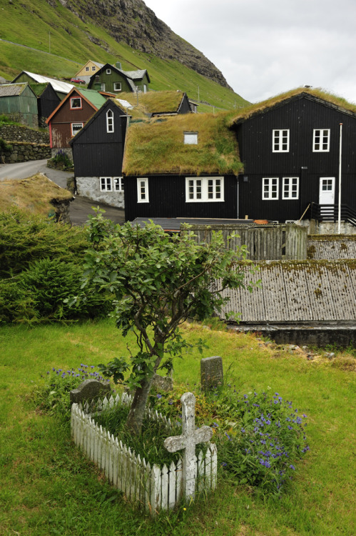 allthingseurope:Bour, Faroe Islands by (Ulrich Latzenhofer)