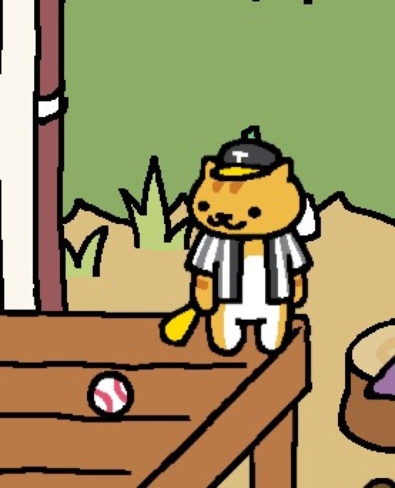 Joe DiMeowgio- an easy kitty to please