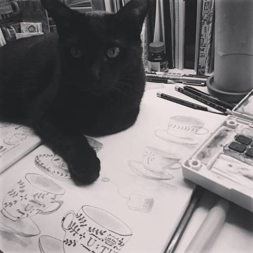 Sketching Sunday is hard work when you have a cat. #catproblems