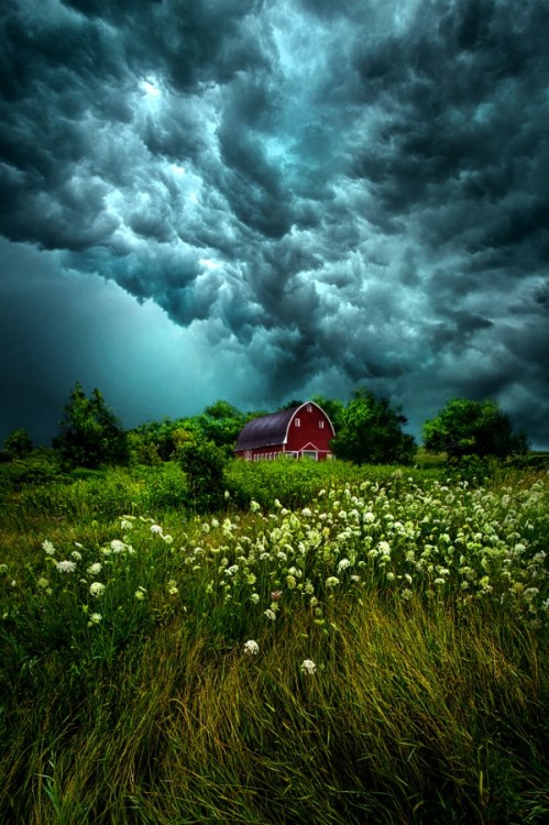 jakewi:Riding The Storm Out by PhilKoch