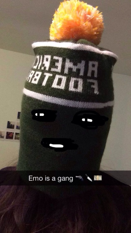 sunnydaylonelyestate:sunnydaylonelyestate:A very important snapanticonner this is our gang sign/unif