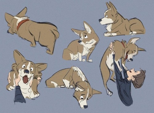 #drawing #gesture #art #character #characterdesign #visdev #animation #corgi