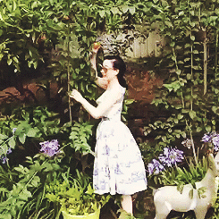 descendingy0uth:  Dita Von Teese is the cutest  Omg omg cutie!