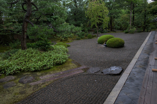 Small Zen GardenStay in twilight and wait for dusk till dawn.