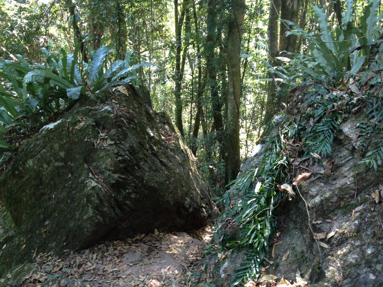 Through the rain forest and down the the river bank. It really grips you and pulls