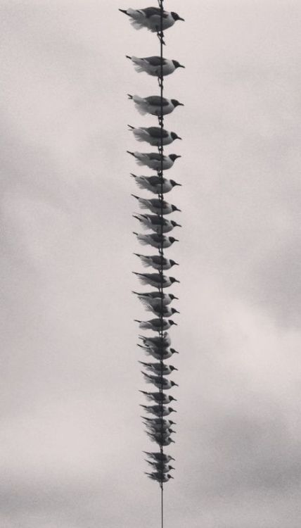heartbeat-of-leafy-limbs: ANDRÉ KERTÉSZ Avenida de Julio, Buenos Aires [1962]