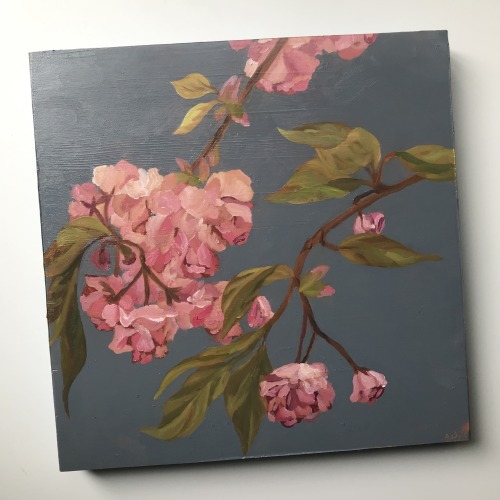 Flowering Cherry
Oil on Wood Panel
10 x 10 inch. 2022