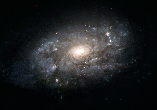 Last Legacy Hubble Birthday Pictures!