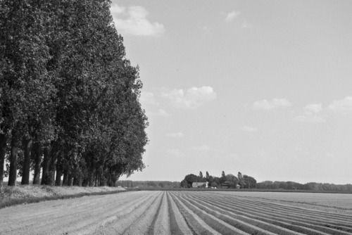 polder