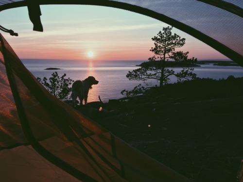 adventureovereverything: Even my dog wants to take in the view