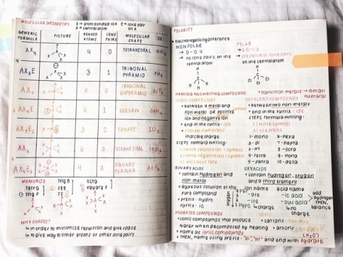 studyplants:thecoffeedesk:march 24, 2017 | 4:10 pm | 17/100notes & reviewer for last week’s chem