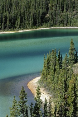 wolverxne:  Emerald Lake, Whitehorse, Yukon