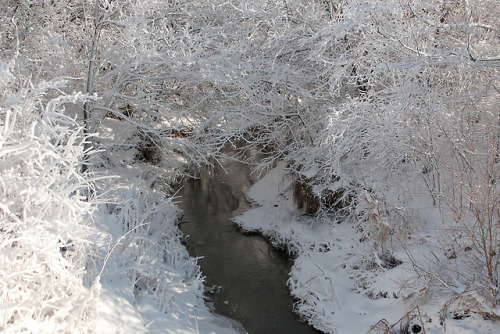 simplethingsnaturephotography: Near Greenville, Ohio January 20, 2019