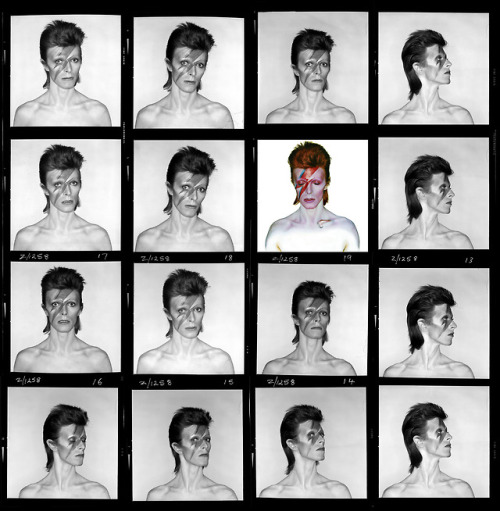 Five Years, twelve venues, eleven countries, and only one month of David Bowie is to go!As the final