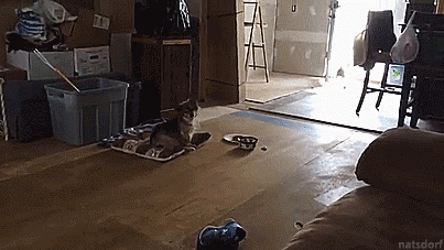 babygirls-sweetsurrender: thenatsdorf: So close. [full video] Nice recovery. :-D 