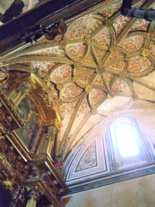 Catedral de Segovia (interior), Segovia, Spain.