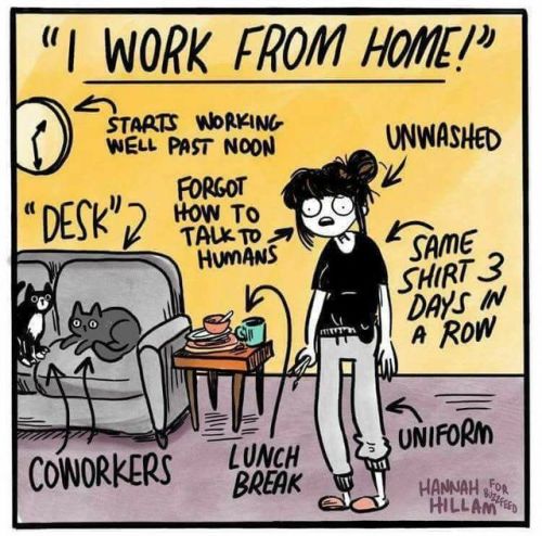 My missus tells me this is me, and it’s totally, utterly and completely not! I have a cat and a dog. Not two cats!Check Mate!