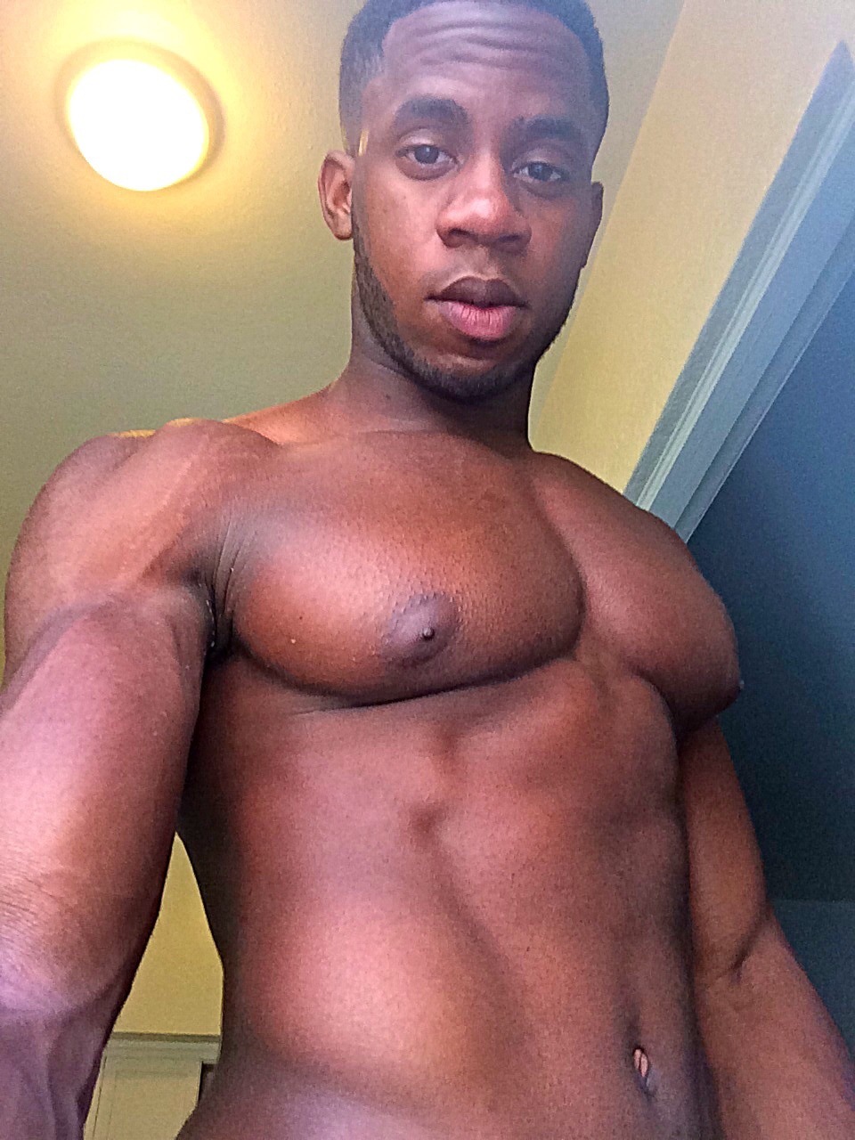 King Sex Appeal Bitch