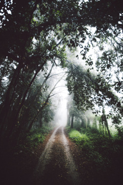 elenamorelli:  { all i need is mist }