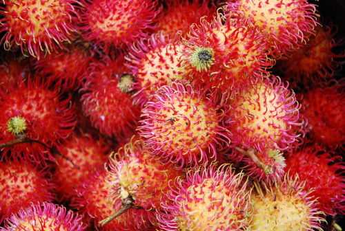 Nephelium lappaceum A.K.A. Rambutan&hellip; :)