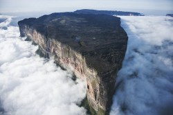 trans-norcal:    Mount Roraima  The incredible top of Mount Roraima, the 1.8 million year old sandstone plateau. It is also called Roraima Tepui or Cerro Roraima. The geological marvel is one of the oldest formations on Earth, a natural border between