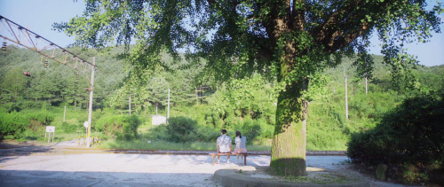 87-mm:  연애의 온도 (Very Ordinary Couple), 2013