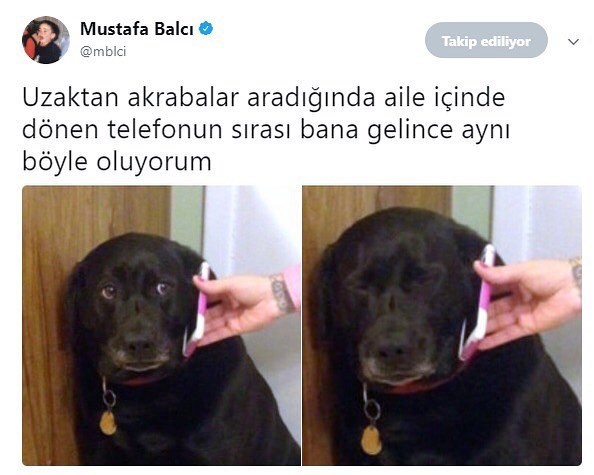 Uzaktan akrabalar...