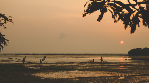 soon-monsoon:  Agriculture in Bangladesh by Sabit 