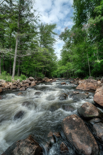 tulipnight:  Moose River by Ray Palmer Photography on Flickr.