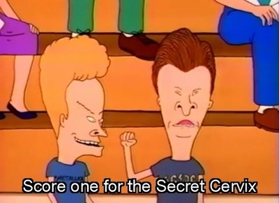 Uh, Check it out, Beavis.