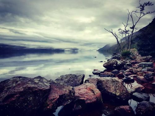 Loch Ness looking moody and magnificent this morning. Just a few minutes from us at Rivoulich Lodge,