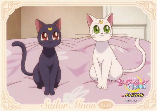 These are some of the images from the very rare Sailor Moon Crystal x Namjatown 2015 Bromides set. D