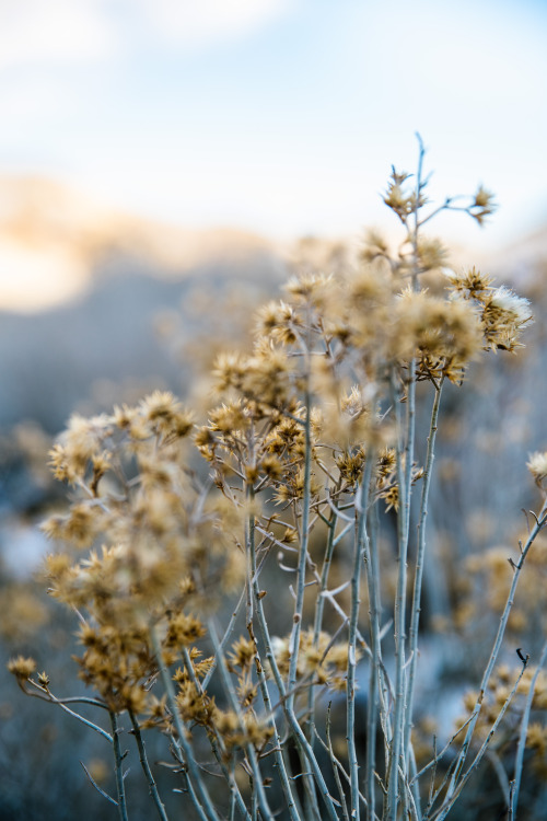 life on the road - driving through tahoe and nevada - january 2019