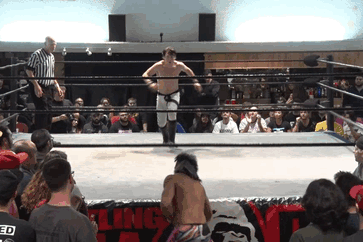 Wrestling Giffer