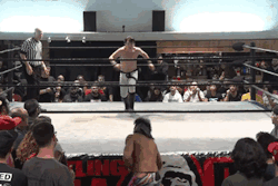 Wrestling Giffer