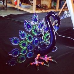 dabbersdaily:  Congratulations to @borohustler #BenBurton for winning #peopleschoice at the 2014 #degenerateflameoff with this amazing #peacock rig!  Thanks to @immaculateglass for the great photo of the winning piece!  Check out Degenerate Flame Off