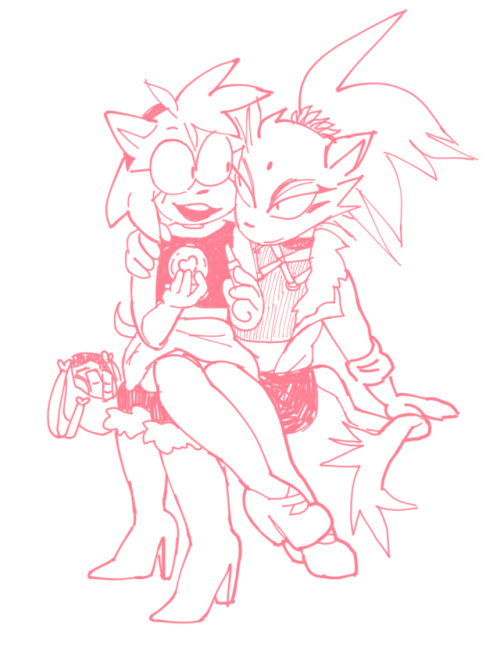 ffaangg:one of my many beautiful sonic ships