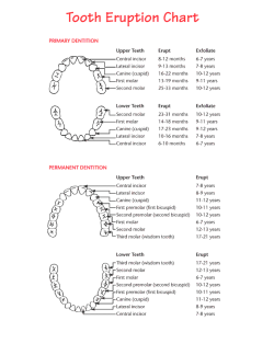 dentagama: Time of eruption for deciduous (baby) teeth and permanent (adult teeth). http://dentagama.com/news/teeth-eruption-chart-for-deciduous-and-permanent-teeth 