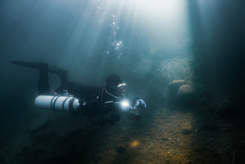 Underwater freshwater photography from Finland. Shot in several lakes around northern Finland. 2018-