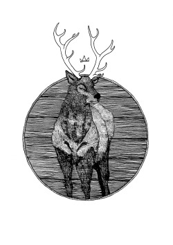 thomsimpsonillustration:  Cervus Elaphus // Thom Simpson 2014 Up as a shirt on http://bastiondesign.spreadshirt.co.uk/