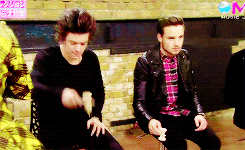ffranksiero:  3/60: Your favorite BROTPS (2/2) - Liam & Harry“if I was an animal, my mating call would sound a little like this, "hello, I’m the real liam payne, nice to meet you” 