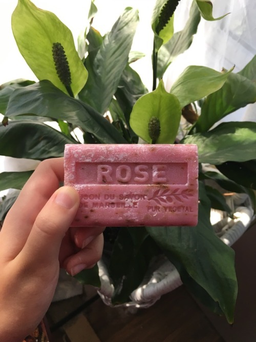 clovebud: Picked up some rose scented soap in Spain