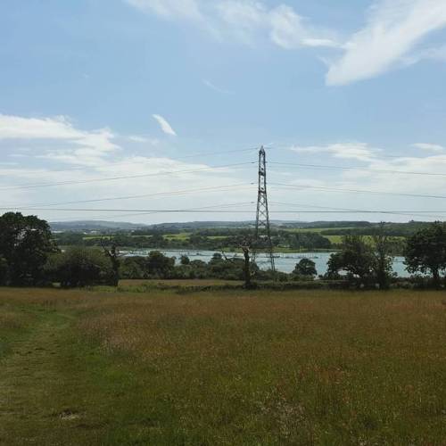 Lovely if chilly walk along the Medina. Shame about the pylon #rivermedina #river #countryside #fres