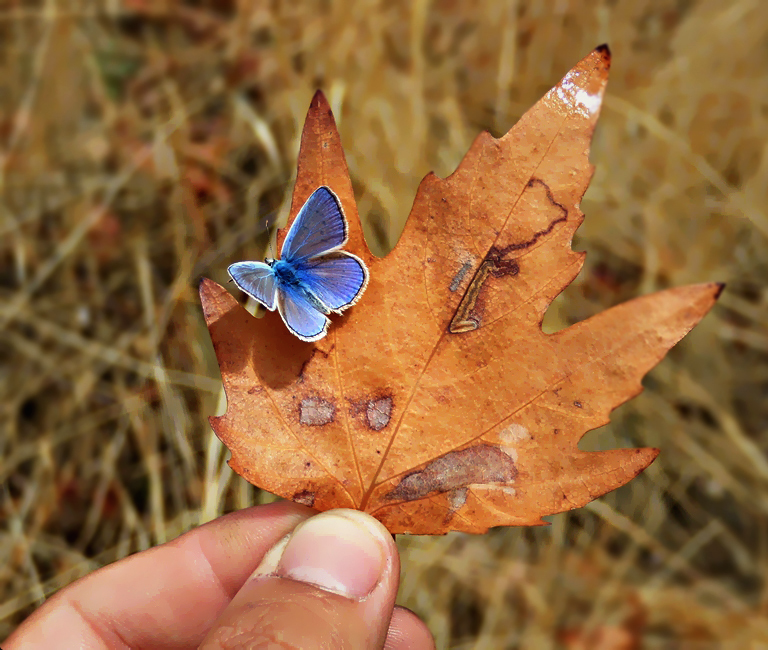 nubbsgalore: photos by mehmet karaca  