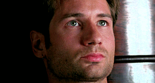 dargina:DAVID DUCHOVNY | KALIFORNIA